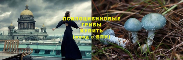 МДПВ Аркадак