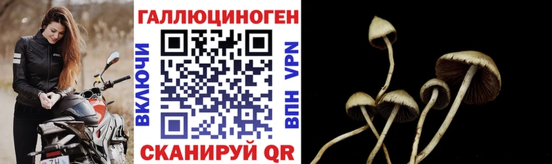 Купить Усолье Псилоцибиновые грибы мухоморы